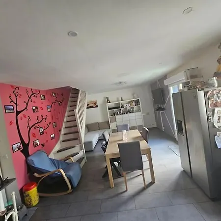 Maison Récente Avec Jardin Et Terrasse, Bien Desservie Appartement