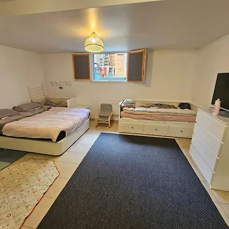 Appartement Maison Récente Avec Jardin Et Terrasse, Bien Desservie *